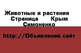  Животные и растения - Страница 10 . Крым,Симоненко